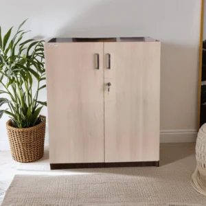storage cabinate